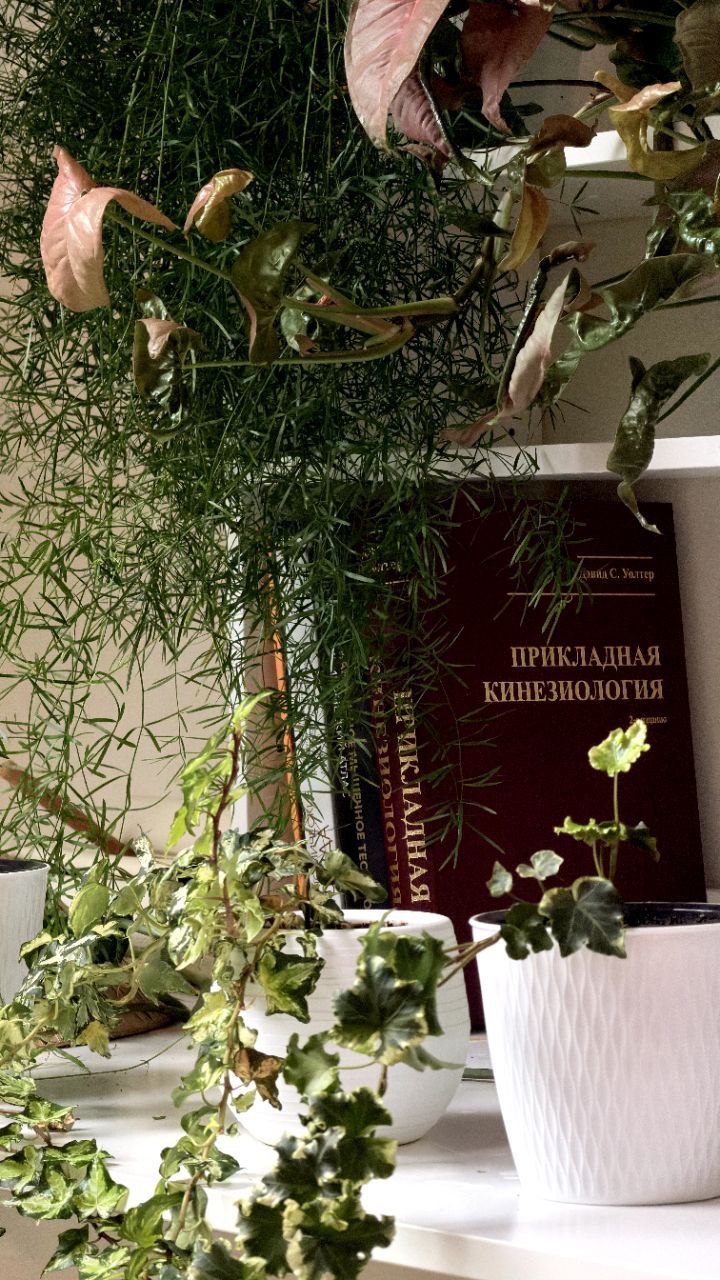 Всем привет, хочу немного рассказать про мой путь, когда я пришел в профессию...